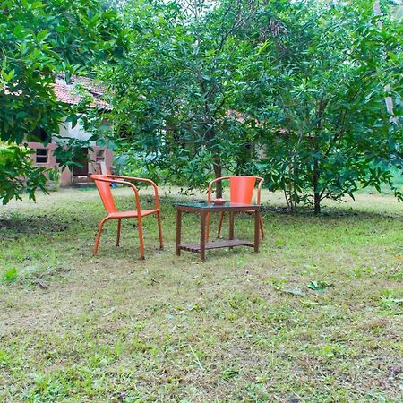 Raikar Guest House Богмало Екстер'єр фото
